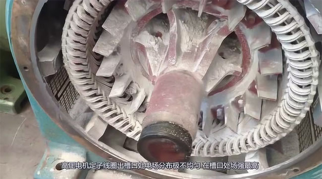 圖為高壓電機(jī)定子線圈出槽口處電場分布照片